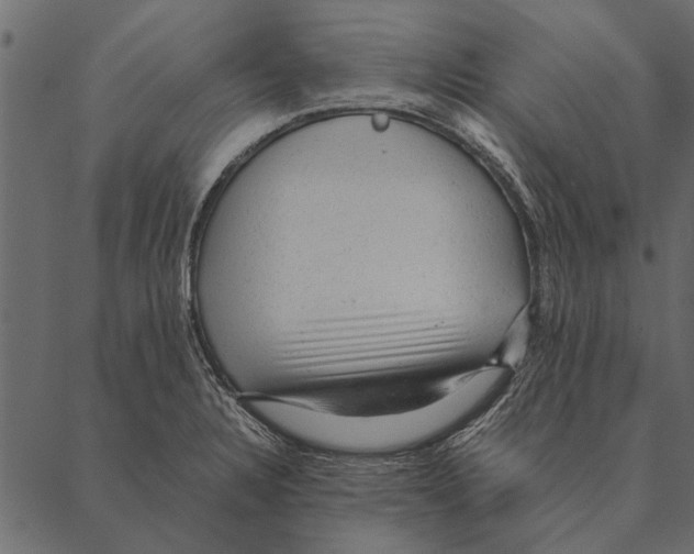 X0000087311328200705180936