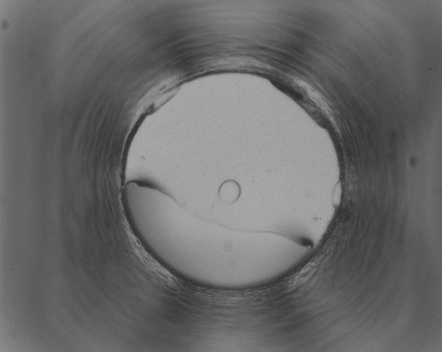 X0000087311330200705180936