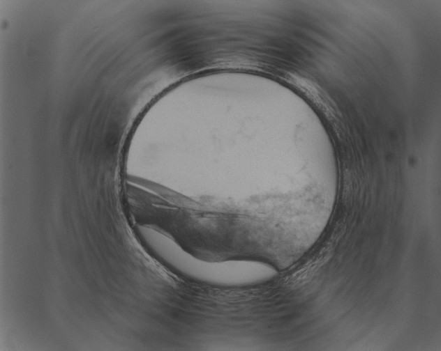 X0000087311331200705180936