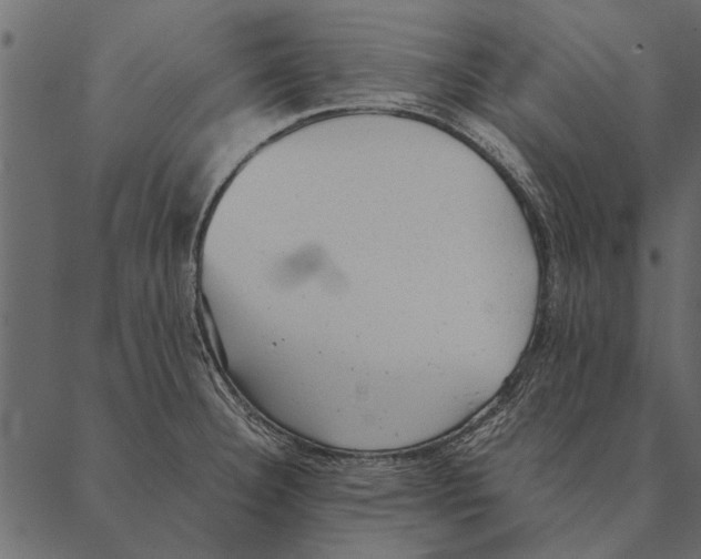 X0000087311332200705180936