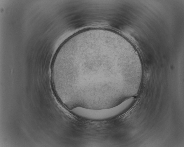 X0000087311335200705180936