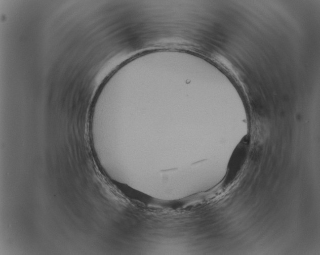 X0000087311336200705180936