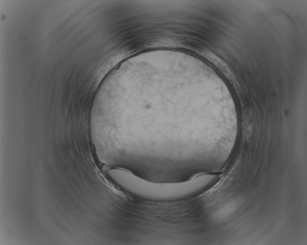 X0000087311337200705180936