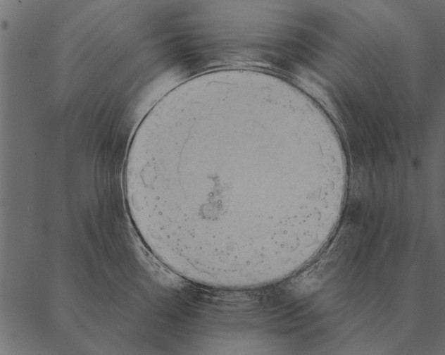 X0000087311338200705180936