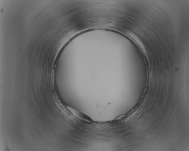 X0000087311340200705180936