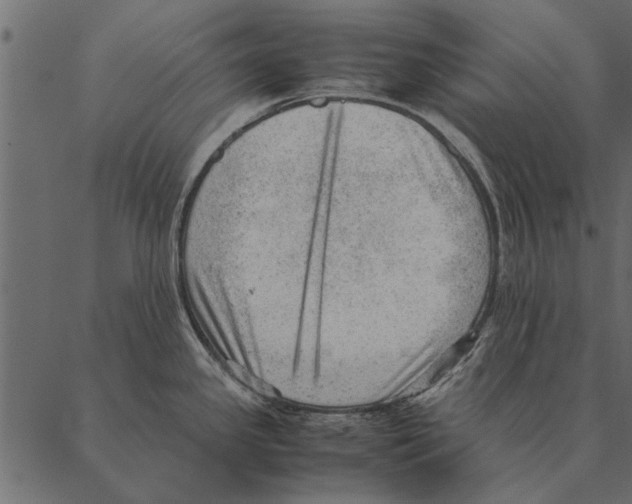 X0000087311341200705180936