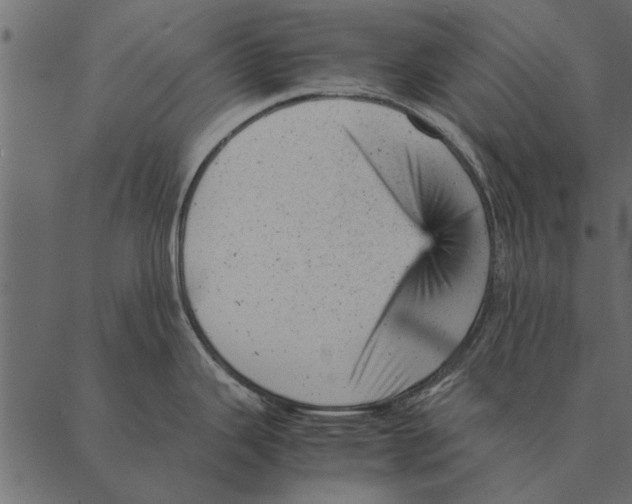 X0000087311343200705180936