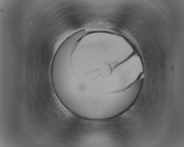 X0000087311344200705180936