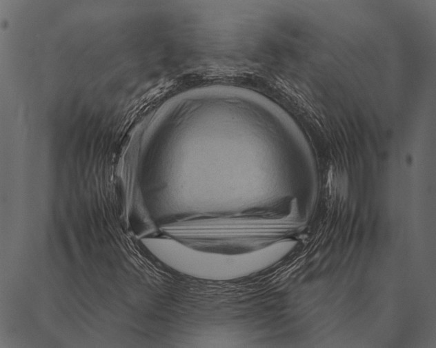 X0000087311348200705180935