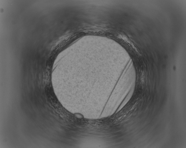 X0000087311350200705180935