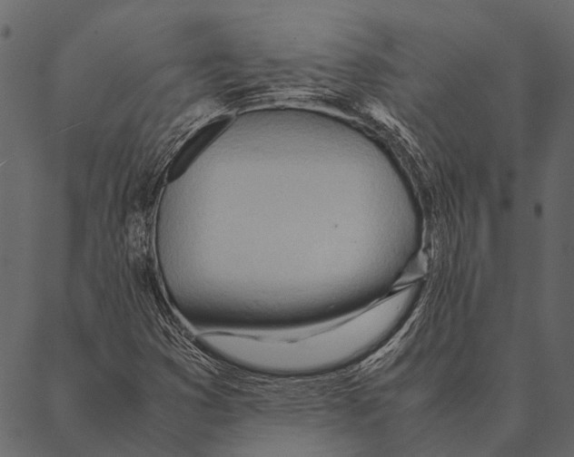 X0000087311353200705180935