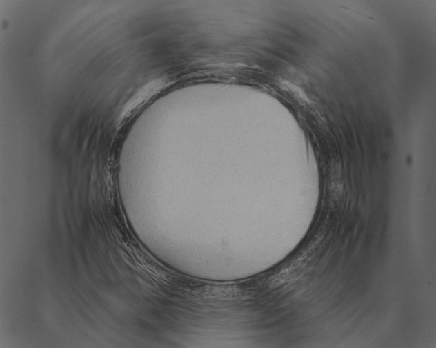 X0000087311354200705180935