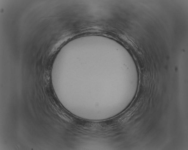 X0000087311355200705180935