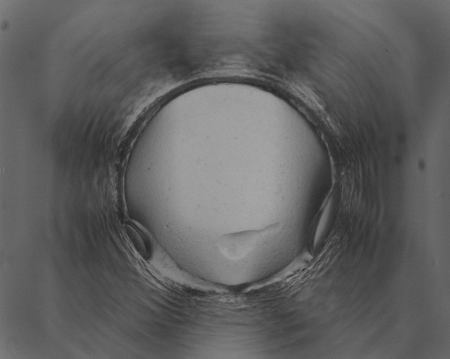 X0000087311356200705180935