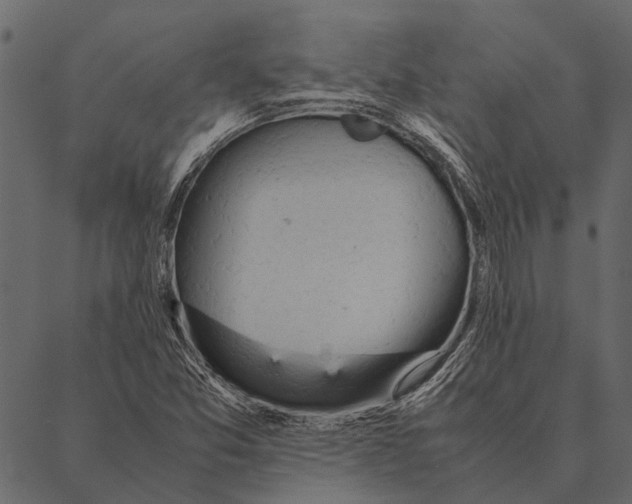 X0000087311357200705180935