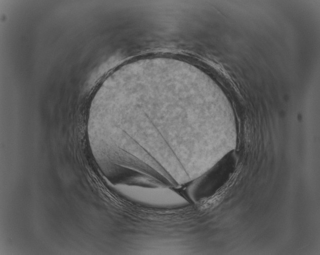 X0000087311359200705180935