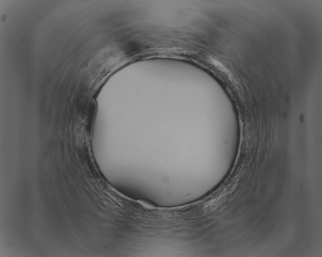 X0000087311361200705180935