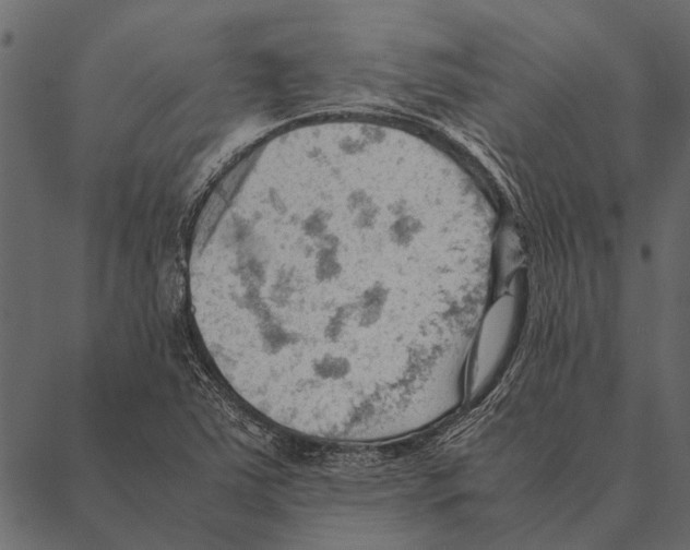 X0000087311363200705180935