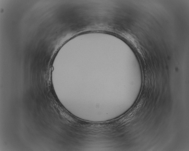 X0000087311366200705180935