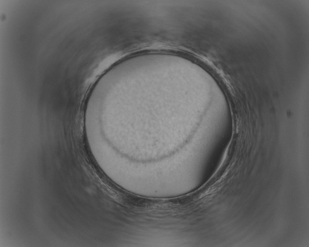 X0000087311367200705180935