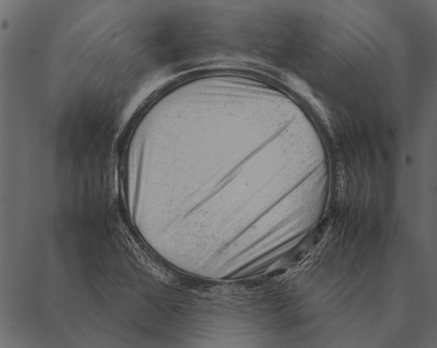 X0000087311368200705180935