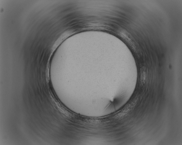 X0000087311370200705180935