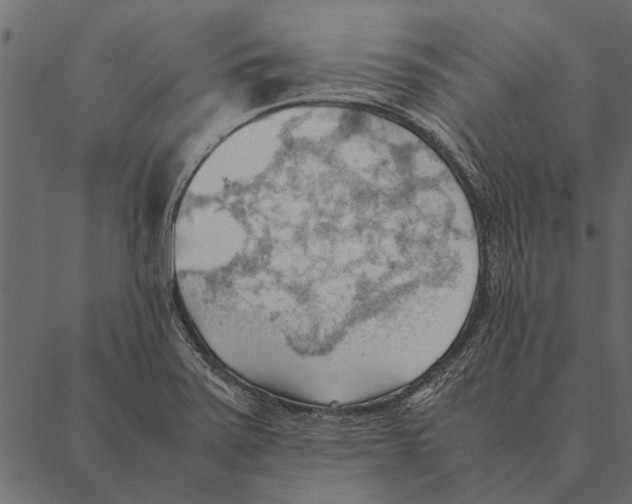 X0000087311371200705180935