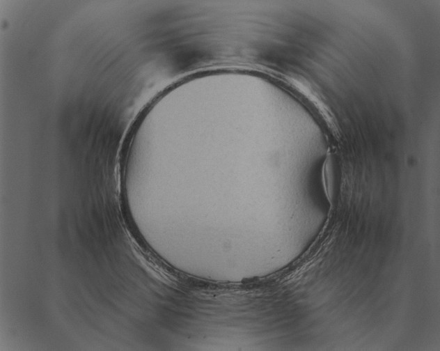 X0000087311372200705180935