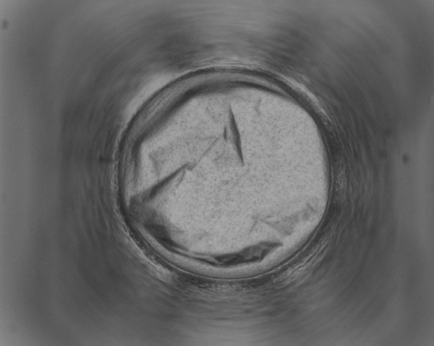 X0000087311375200705180935