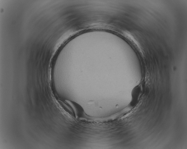 X0000087311376200705180935