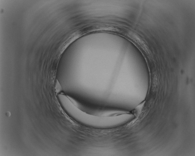 X0000087311377200705180935