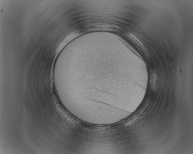 X0000087311378200705180935