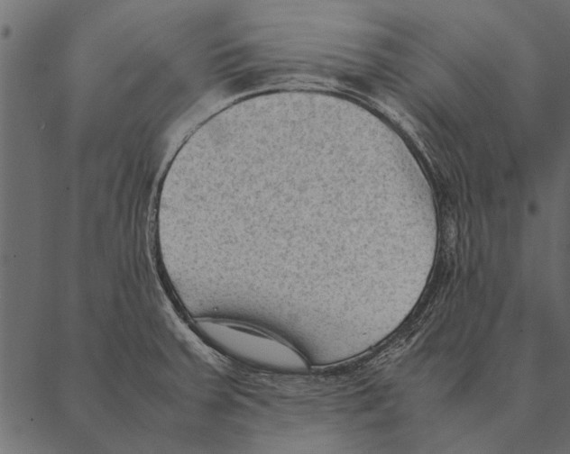 X0000087311379200705180935