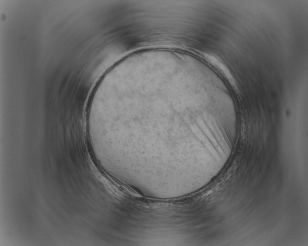 X0000087311380200705180935