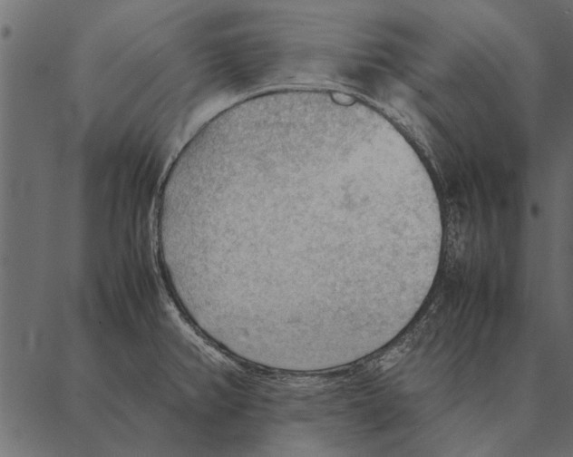 X0000087311382200705180935