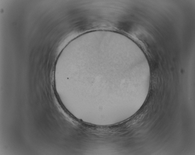 X0000087311383200705180935