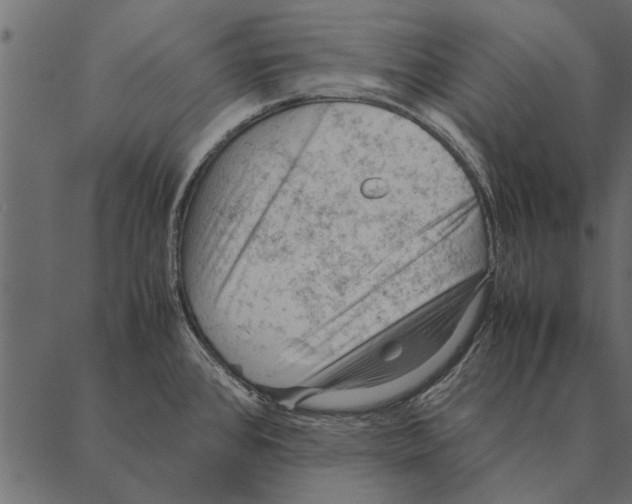 X0000087311384200705180935