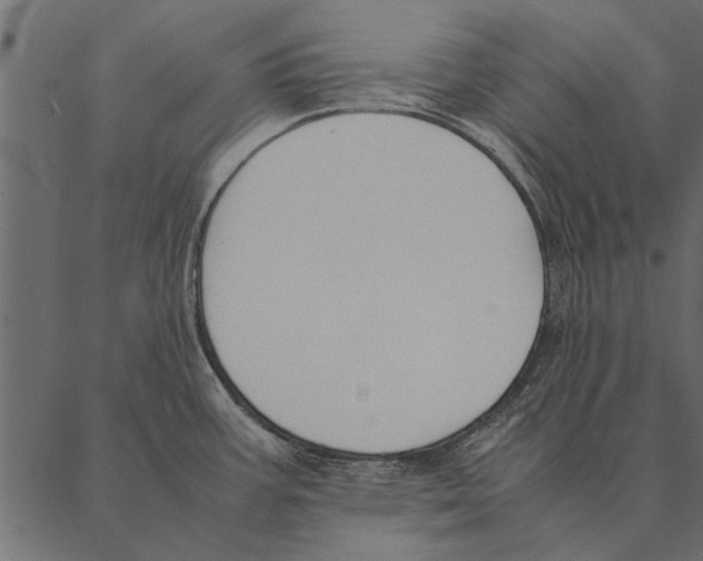 X0000087311387200705180935