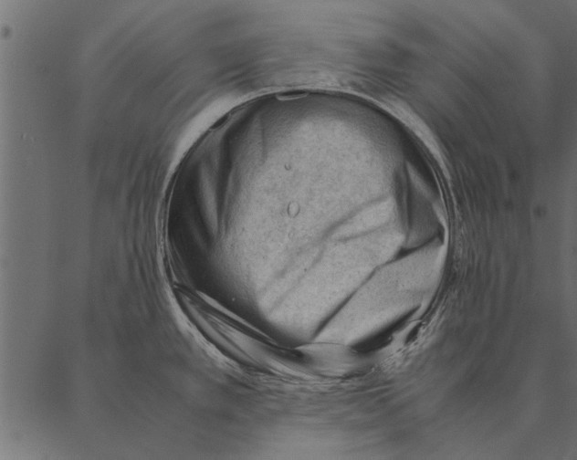 X0000087311389200705180935