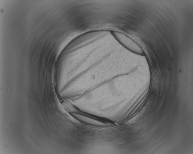 X0000087311390200705180935