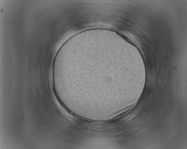 X0000087311391200705180935