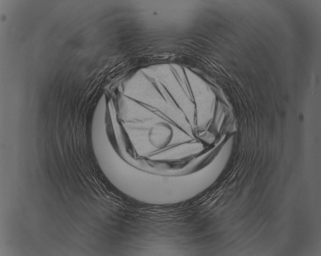 X0000087311394200705180934