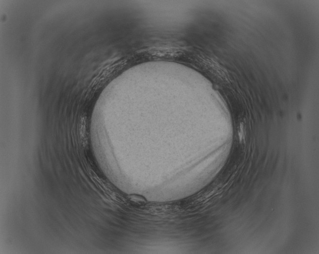 X0000087311396200705180934