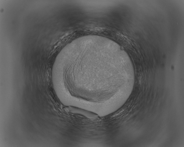 X0000087311397200705180934