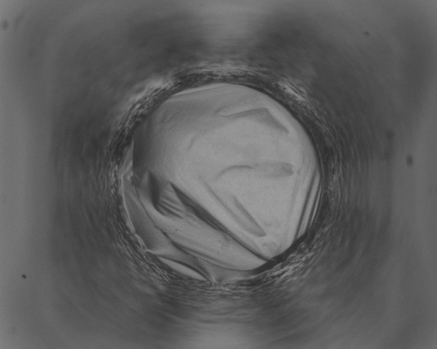 X0000087311398200705180934