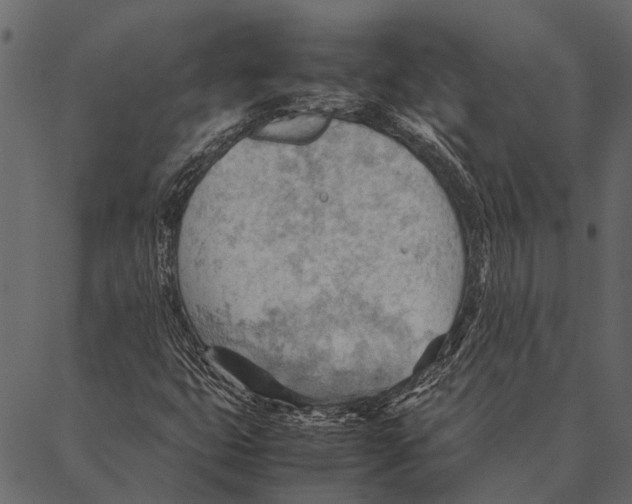 X0000087311399200705180934