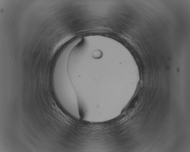 X0000087311402200705180934