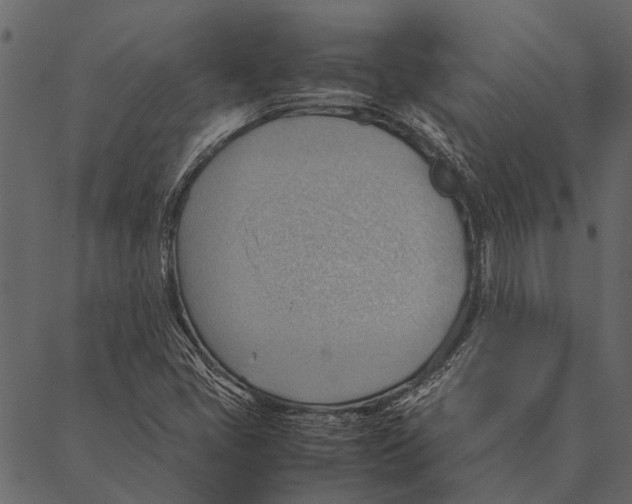 X0000087311405200705180934