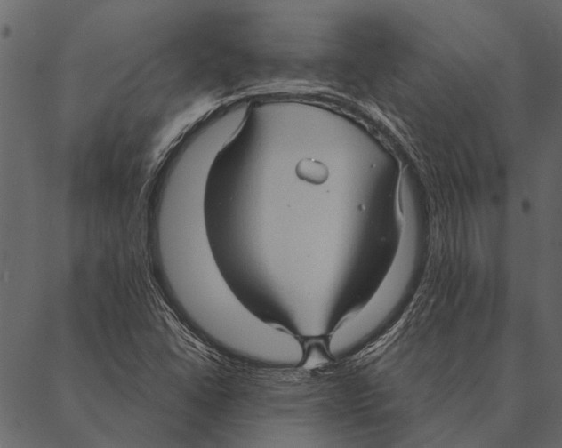 X0000087311406200705180934