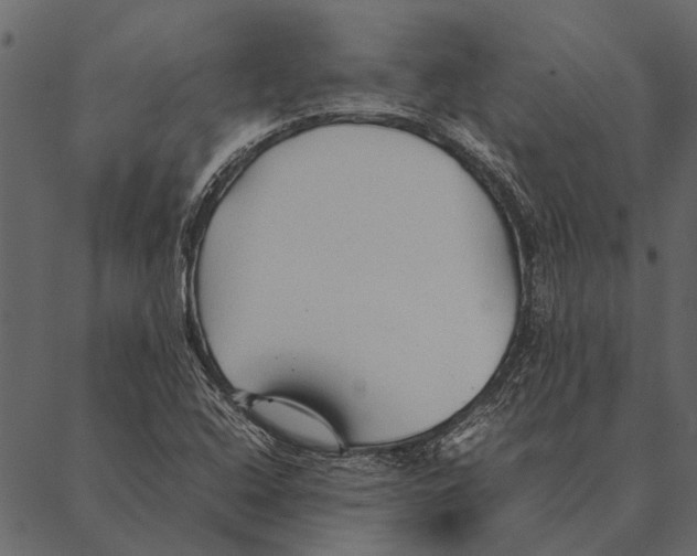 X0000087311408200705180934